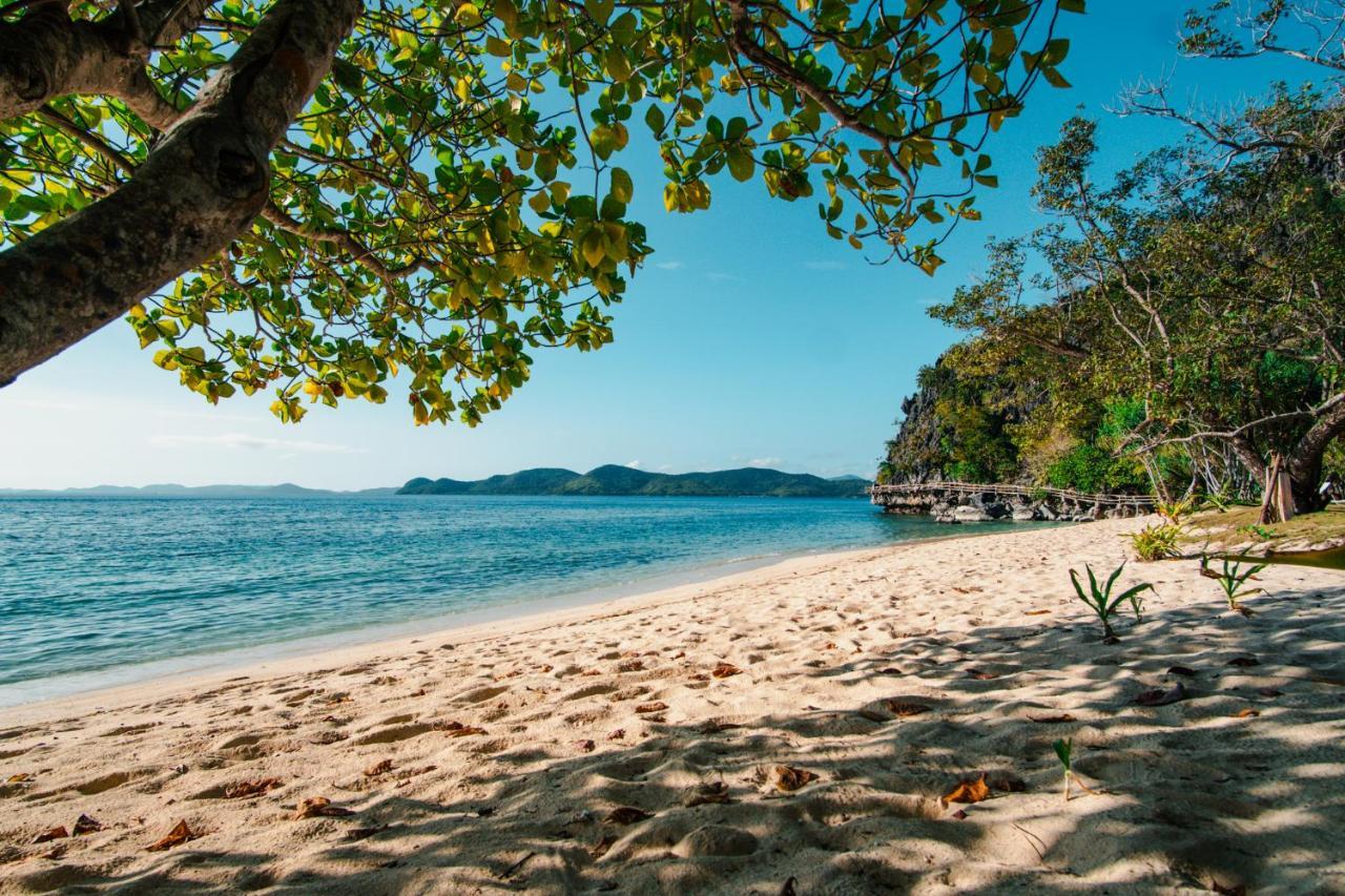 Sangat Island Dive Resort Đảo Đảo Coron Ngoại thất bức ảnh